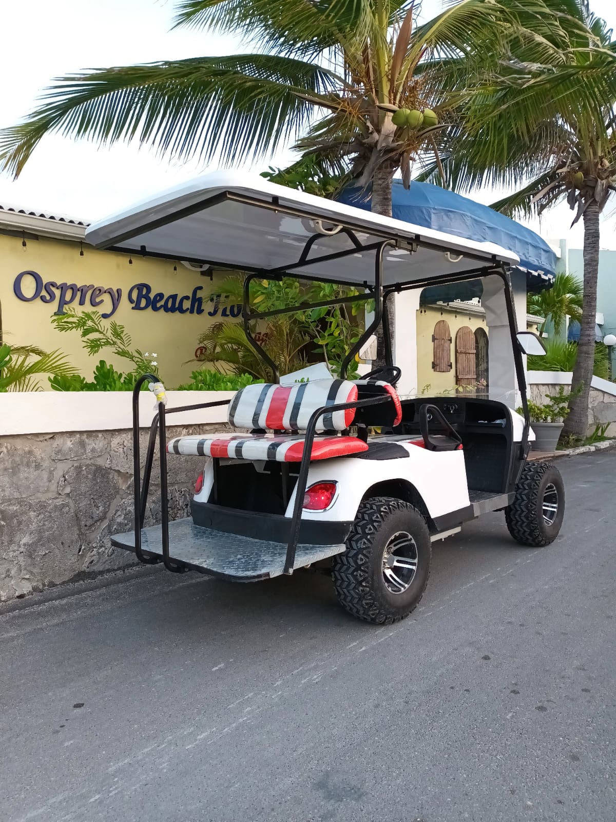 FAMILY UTV GOLF CART :)