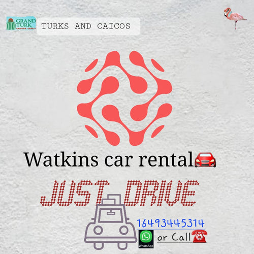 Golf Cart Rentals in Turks and Caicos Islands