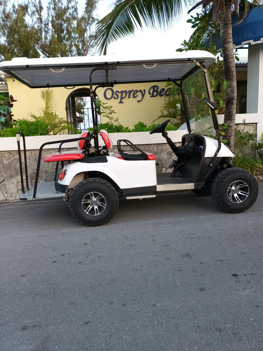 FAMILY UTV GOLF CART :)