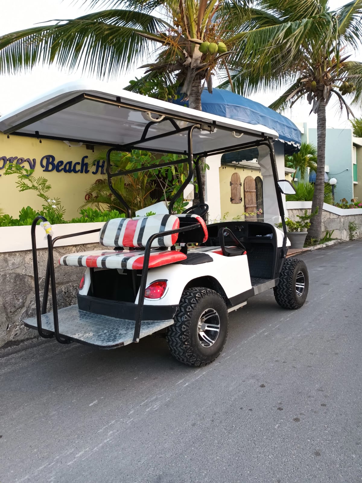 FAMILY UTV GOLF CART :)