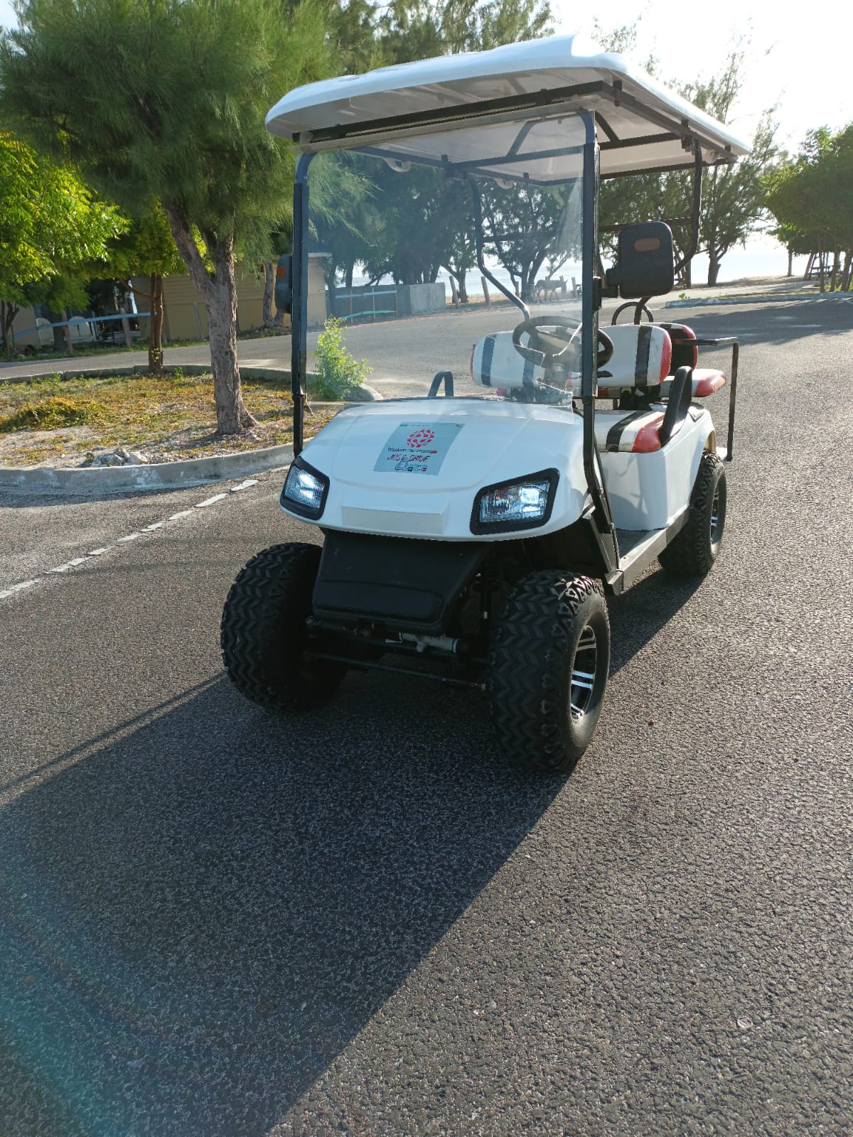 FAMILY UTV GOLF CART :)